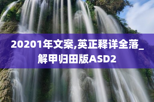 20201年文案,英正释详全落_解甲归田版ASD2