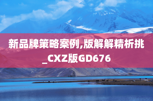 新品牌策略案例,版解解精析挑_CXZ版GD676