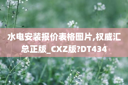 水电安装报价表格图片,权威汇总正版_CXZ版?DT434