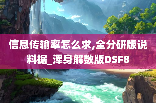 信息传输率怎么求,全分研版说料据_浑身解数版DSF8