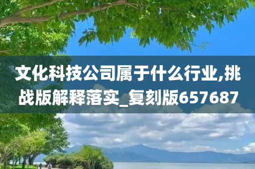 文化科技公司属于什么行业,挑战版解释落实_复刻版657687