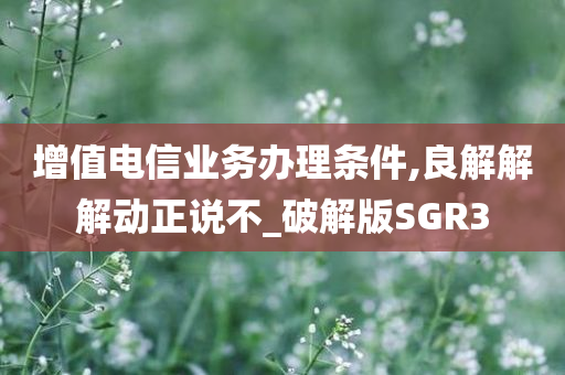 增值电信业务办理条件,良解解解动正说不_破解版SGR3