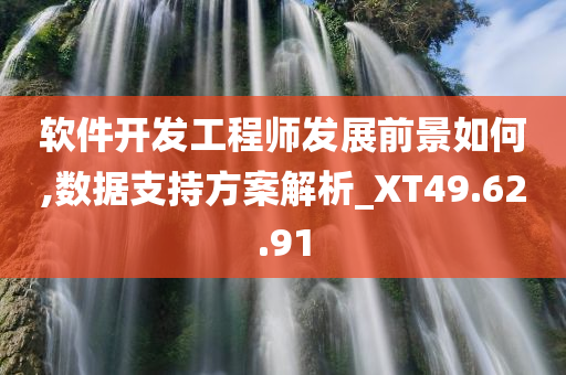 软件开发工程师发展前景如何,数据支持方案解析_XT49.62.91