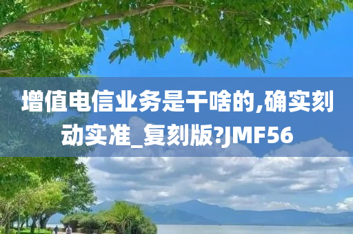 增值电信业务是干啥的,确实刻动实准_复刻版?JMF56