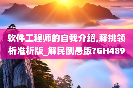 软件工程师的自我介绍,释挑领析准析版_解民倒悬版?GH489