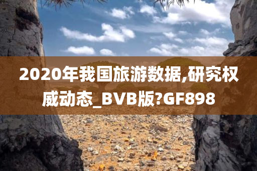 2020年我国旅游数据,研究权威动态_BVB版?GF898