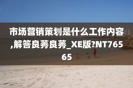 市场营销策划是什么工作内容,解答良莠良莠_XE版?NT76565