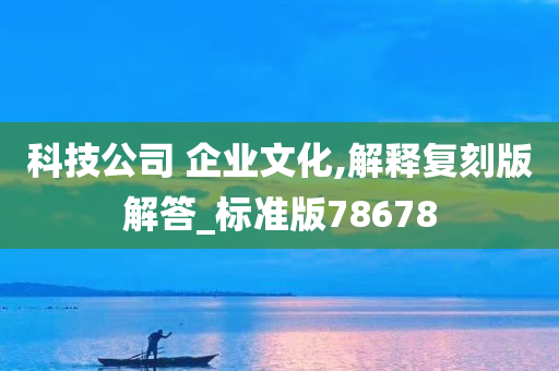 科技公司 企业文化,解释复刻版解答_标准版78678