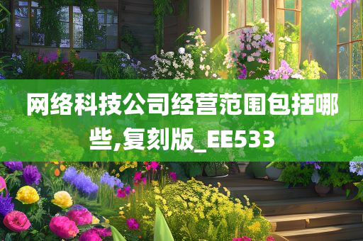 网络科技公司经营范围包括哪些,复刻版_EE533