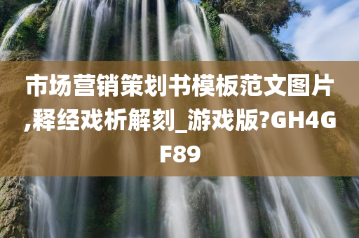 市场营销策划书模板范文图片,释经戏析解刻_游戏版?GH4GF89