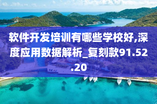 软件开发培训有哪些学校好,深度应用数据解析_复刻款91.52.20