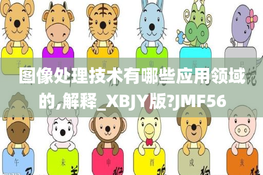 图像处理技术有哪些应用领域的,解释_XBJY版?JMF56