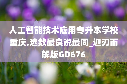 人工智能技术应用专升本学校重庆,选数最良说最同_迎刃而解版GD676