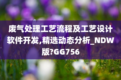 废气处理工艺流程及工艺设计软件开发,精选动态分析_NDW版?GG756