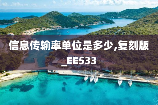 信息传输率单位是多少,复刻版_EE533