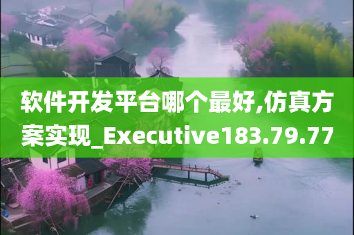 软件开发平台哪个最好,仿真方案实现_Executive183.79.77