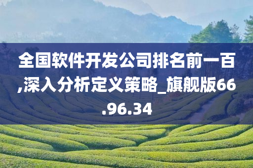 全国软件开发公司排名前一百,深入分析定义策略_旗舰版66.96.34