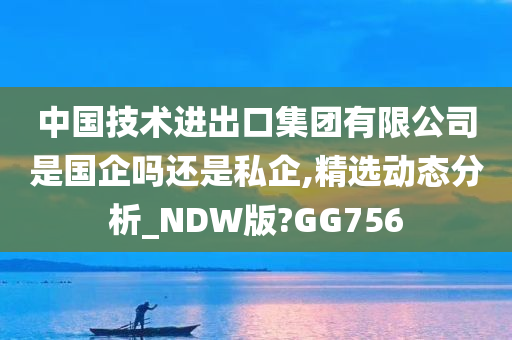 中国技术进出口集团有限公司是国企吗还是私企,精选动态分析_NDW版?GG756