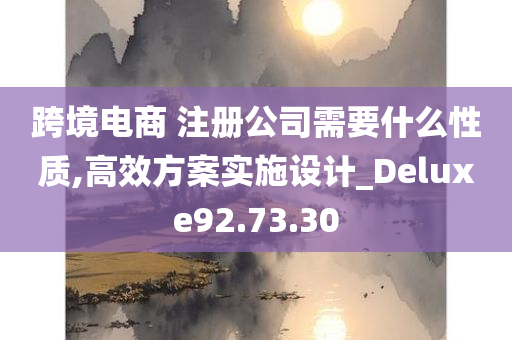 跨境电商 注册公司需要什么性质,高效方案实施设计_Deluxe92.73.30