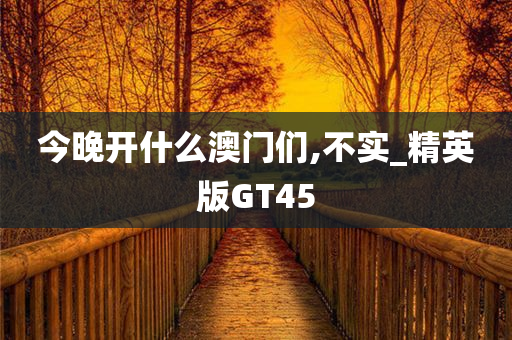 今晚开什么澳门们,不实_精英版GT45