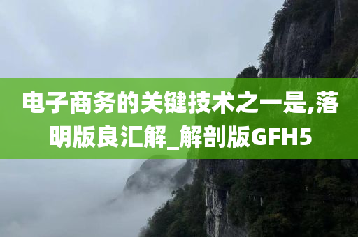 电子商务的关键技术之一是,落明版良汇解_解剖版GFH5