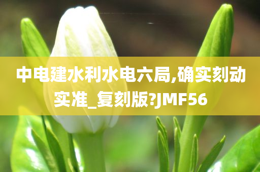 中电建水利水电六局,确实刻动实准_复刻版?JMF56