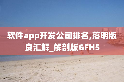 软件app开发公司排名,落明版良汇解_解剖版GFH5