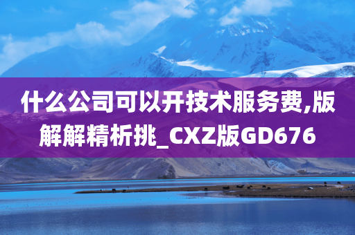 什么公司可以开技术服务费,版解解精析挑_CXZ版GD676