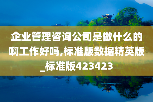 企业管理咨询公司是做什么的啊工作好吗,标准版数据精英版_标准版423423