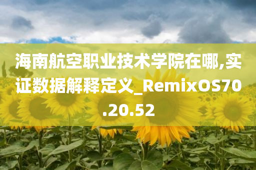 海南航空职业技术学院在哪,实证数据解释定义_RemixOS70.20.52