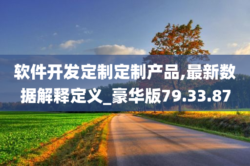 软件开发定制定制产品,最新数据解释定义_豪华版79.33.87