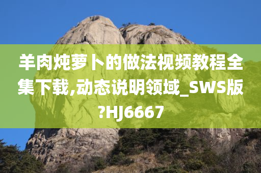 羊肉炖萝卜的做法视频教程全集下载,动态说明领域_SWS版?HJ6667