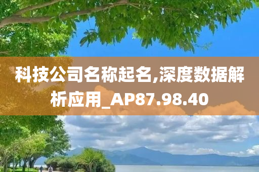 科技公司名称起名,深度数据解析应用_AP87.98.40