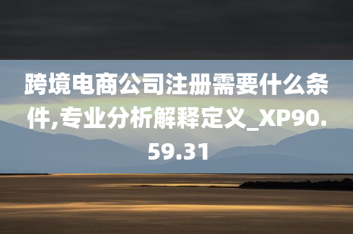 跨境电商公司注册需要什么条件,专业分析解释定义_XP90.59.31