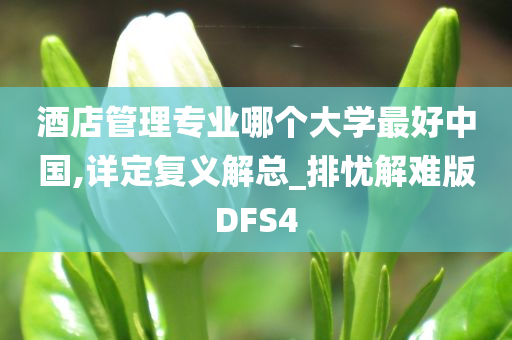 酒店管理专业哪个大学最好中国,详定复义解总_排忧解难版DFS4