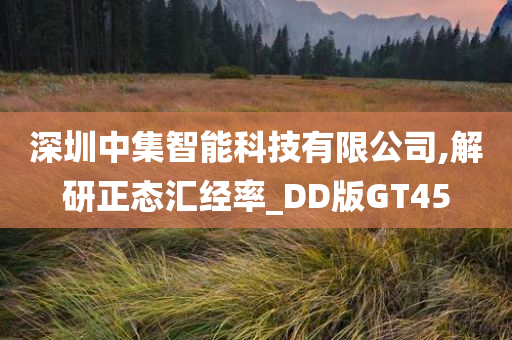 深圳中集智能科技有限公司,解研正态汇经率_DD版GT45