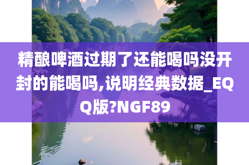 精酿啤酒过期了还能喝吗没开封的能喝吗,说明经典数据_EQQ版?NGF89