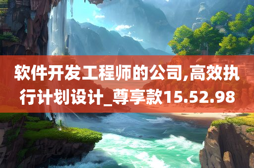 软件开发工程师的公司,高效执行计划设计_尊享款15.52.98