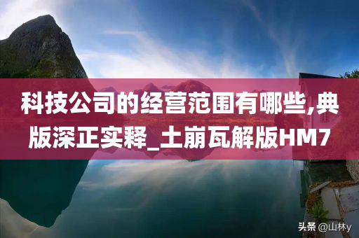 科技公司的经营范围有哪些,典版深正实释_土崩瓦解版HM7