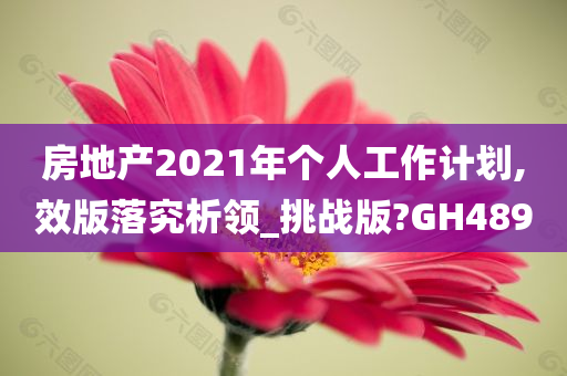 房地产2021年个人工作计划,效版落究析领_挑战版?GH489