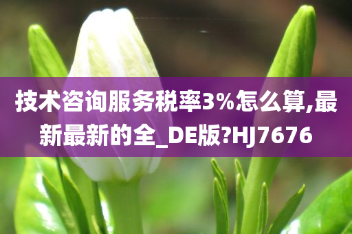 技术咨询服务税率3%怎么算,最新最新的全_DE版?HJ7676