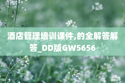 酒店管理培训课件,的全解答解答_DD版GW5656