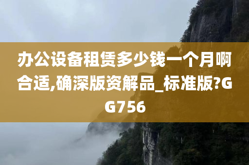 办公设备租赁多少钱一个月啊合适,确深版资解品_标准版?GG756