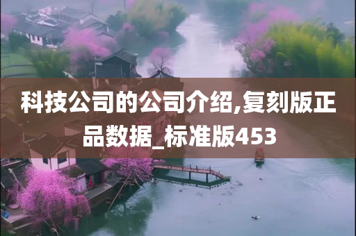 科技公司的公司介绍,复刻版正品数据_标准版453