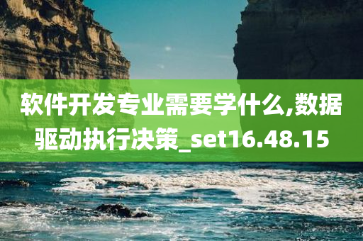 软件开发专业需要学什么,数据驱动执行决策_set16.48.15