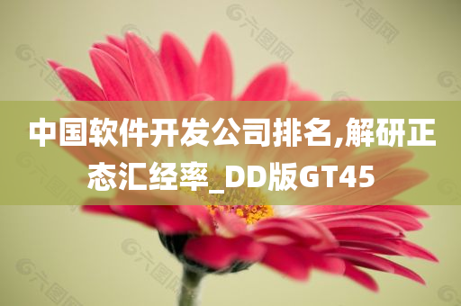 中国软件开发公司排名,解研正态汇经率_DD版GT45