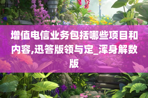 增值电信业务包括哪些项目和内容,迅答版领与定_浑身解数版