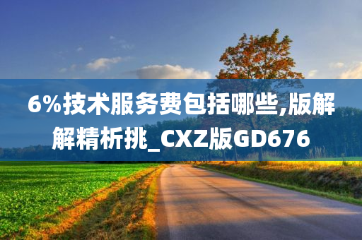 6%技术服务费包括哪些,版解解精析挑_CXZ版GD676