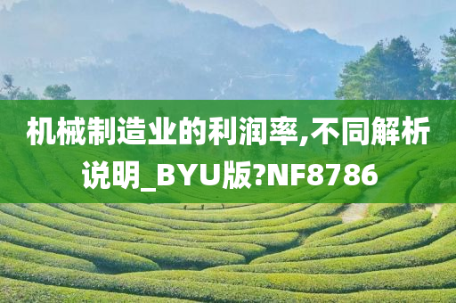 机械制造业的利润率,不同解析说明_BYU版?NF8786