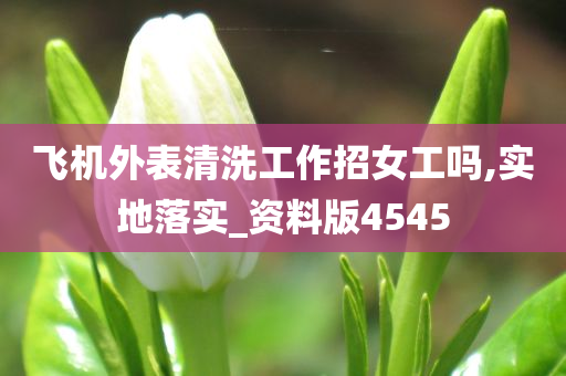 飞机外表清洗工作招女工吗,实地落实_资料版4545